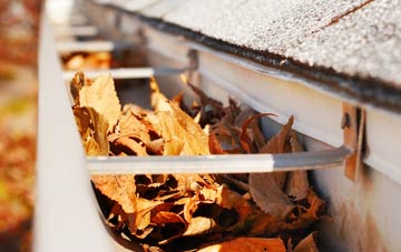 Albourne gutter cleaning companies